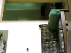 পর্ণ সাদা, পুরুষ সমকামী নতুন সেস্ক ভিডিও