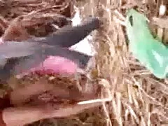পর্ণ মহিলাদের sex video বাংলা অন্তর্বাস