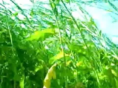 পর্ণ Blondehexe-Nachbarschafts সেক্স ভিডিও চুদাচুদি Hilfe